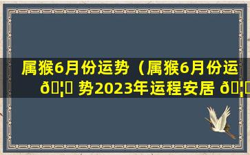 属猴6月份运势（属猴6月份运 🦅 势2023年运程安居 🦅 ）